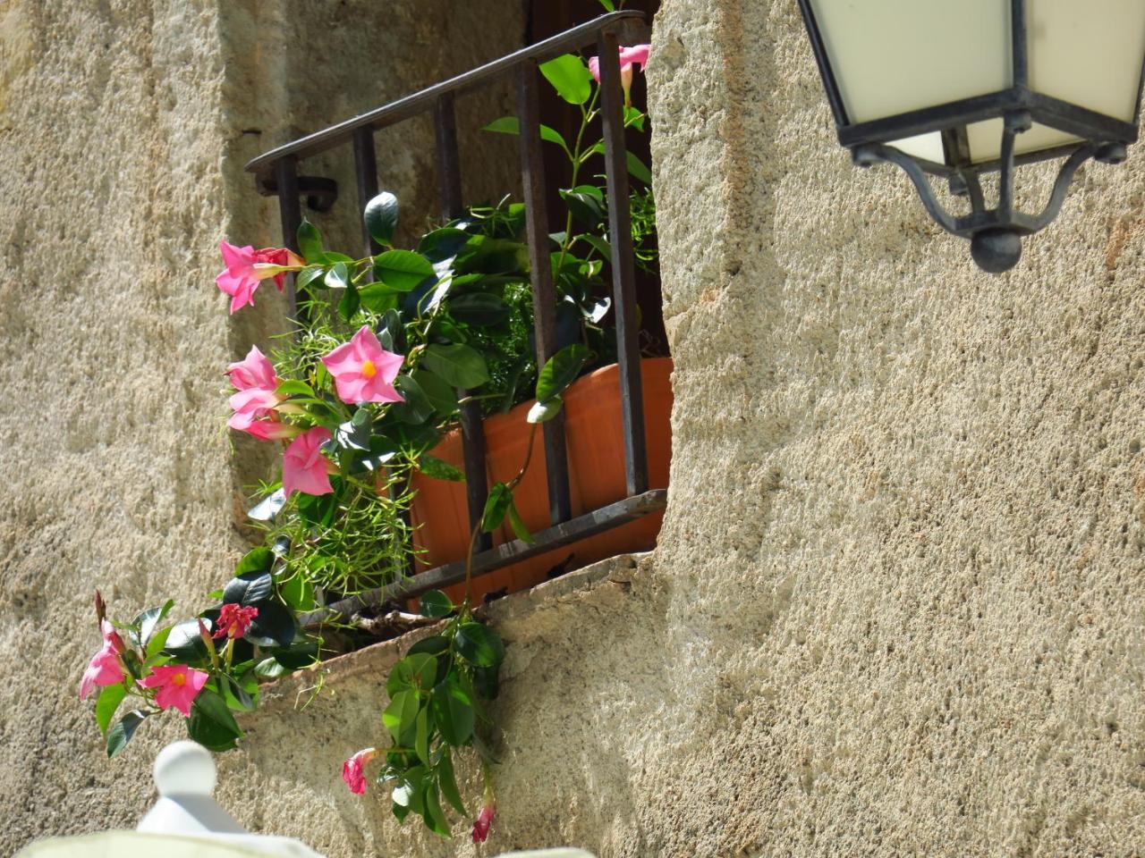 La Taverne de l'Escuelle Saint-Guilhem-le-Desert Exterior foto